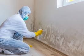 Best Mold Remediation for Healthcare Facilities  in Lakemoor, IL