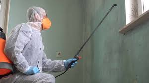 Professional Mold Prevention & Removal  in Lakemoor, IL