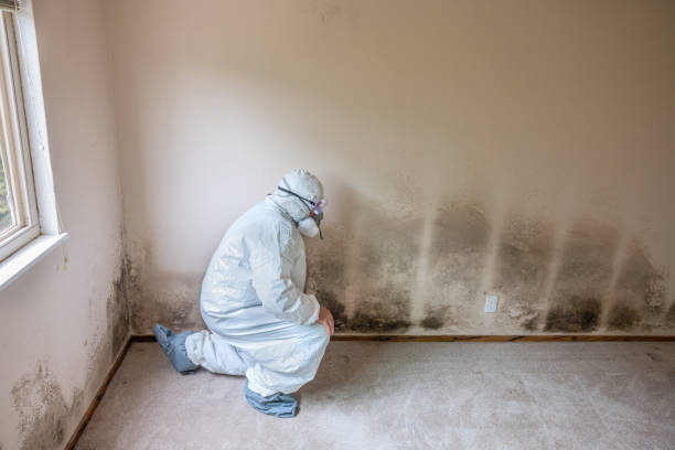 Best Commercial Mold Inspection  in Lakemoor, IL